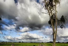 Tourism Recovery Requires New Insights and Ideas